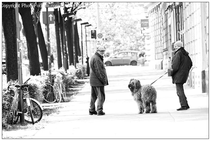Human, People, Person, Bicycle, Bike, Vehicle, Coat