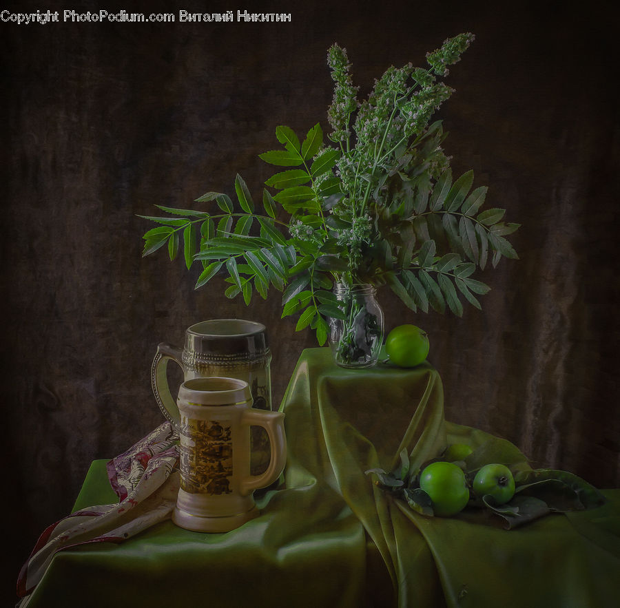 Plant, Potted Plant, Cup, Pot, Pottery, Conifer, Fir