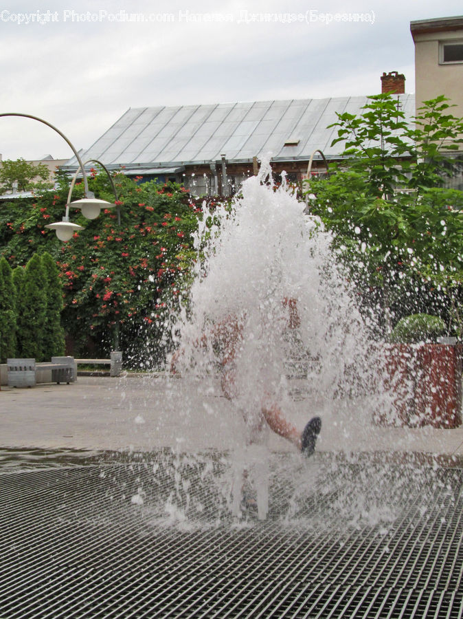 Fountain, Water, Bench, Plant, Tree, Canopy, Bush