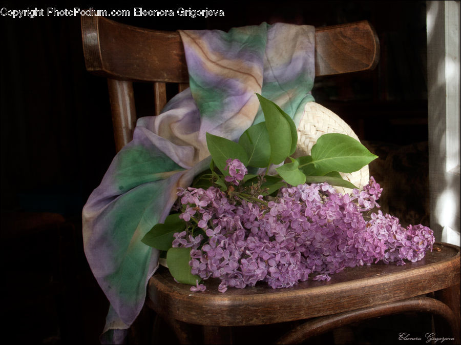 Flower, Flower Arrangement, Flower Bouquet, Blossom, Lilac, Plant, Flora
