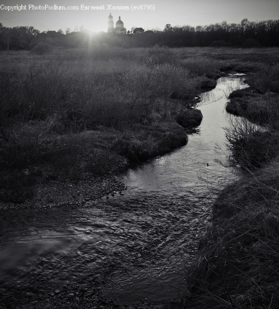 Land, Marsh, Outdoors, Swamp, Water, Pond, Countryside