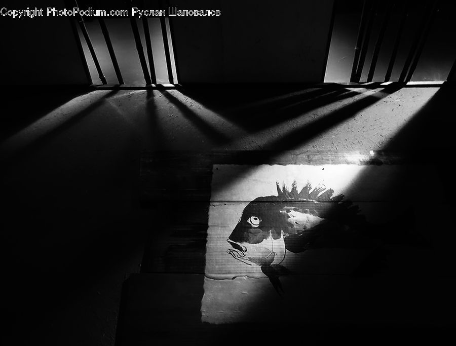 Corridor, Lighting, Cod, Fish, Sea Life, Asphalt, Tarmac