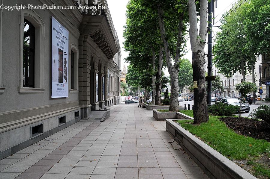 Path, Sidewalk, Walkway, Plant, Potted Plant, Yard, Downtown
