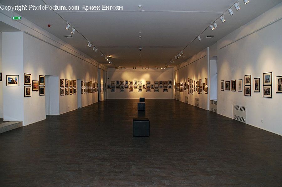 Art, Art Gallery, Floor, Flooring, Indoors, Lobby, Reception