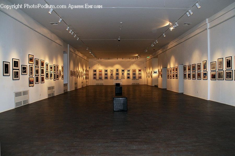 Art, Art Gallery, Corridor, Indoors, Lobby, Reception, Room