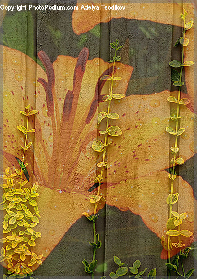 Plant, Vine, Leaf, Art, Modern Art, Flower Arrangement, Ikebana