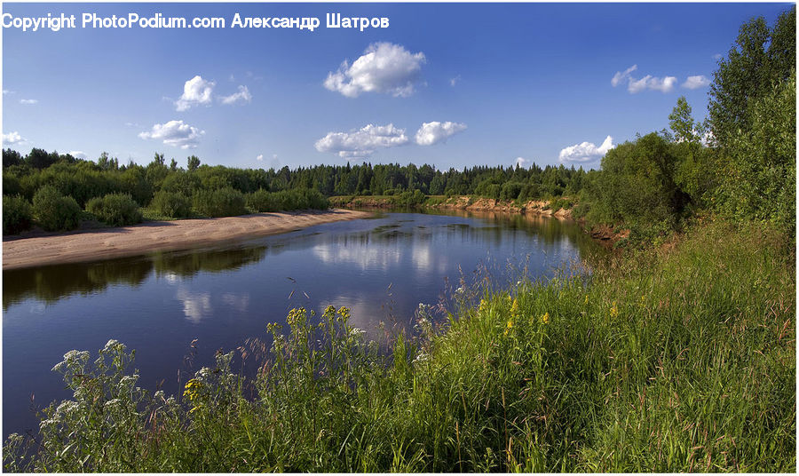 Outdoors, Pond, Water, Lake, Field, Grass, Grassland