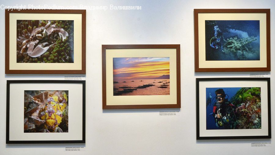Art, Art Gallery, Painting, Collage, Poster, Aquarium, Aquatic