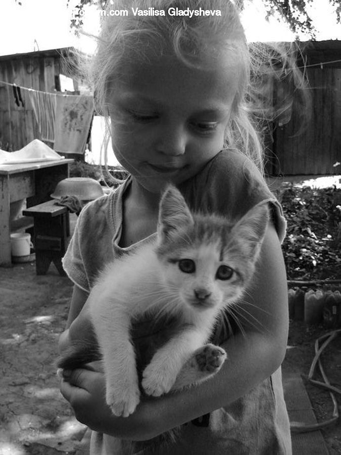Animal, Bench, Adorable, Person, Portrait, Selfie, Bowl