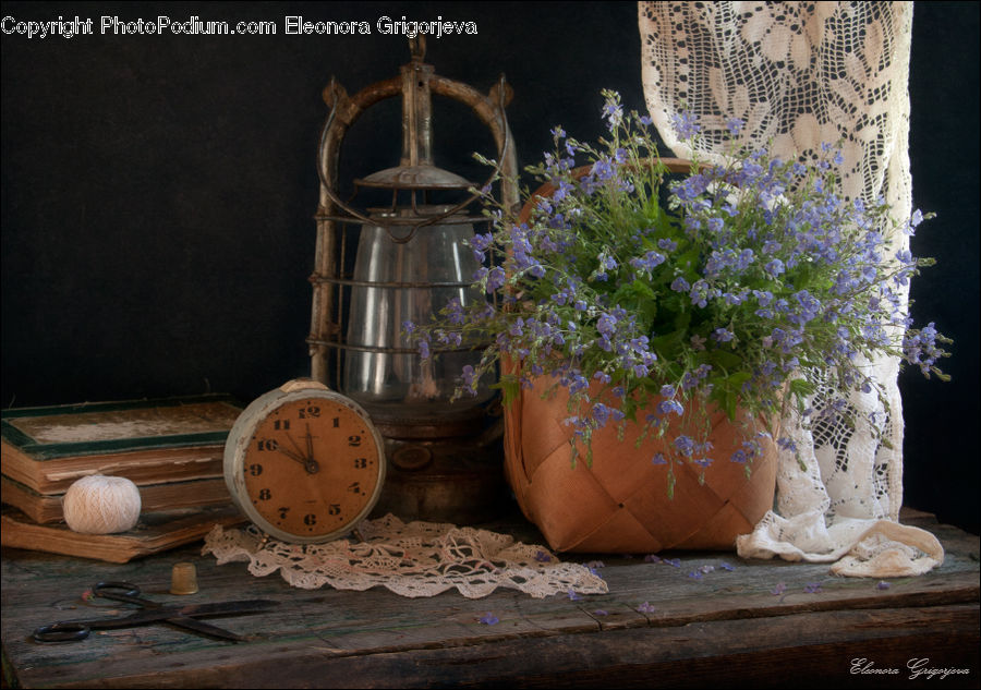 Plant, Potted Plant, Pot, Pottery, Flower, Flower Arrangement, Flower Bouquet