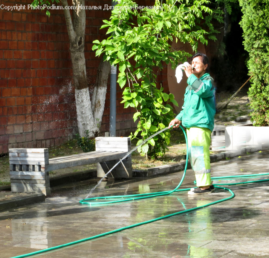 People, Person, Human, Herbal, Herbs, Plant, Planter