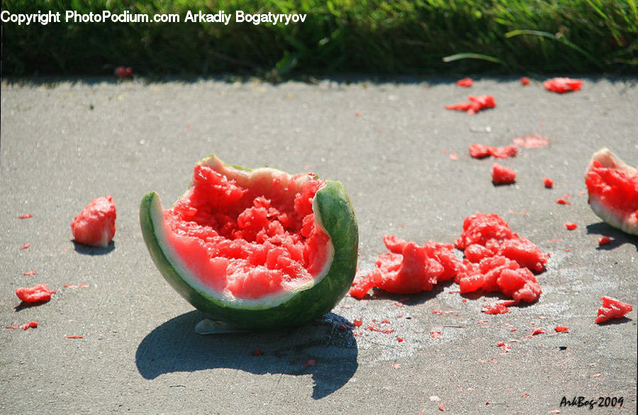 Fruit, Watermelon, Field, Grass, Grassland, Plant, Reed