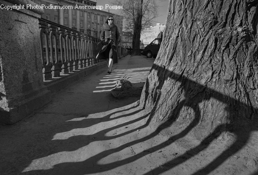Alley, Alleyway, Road, Street, Town, Plant, Tree