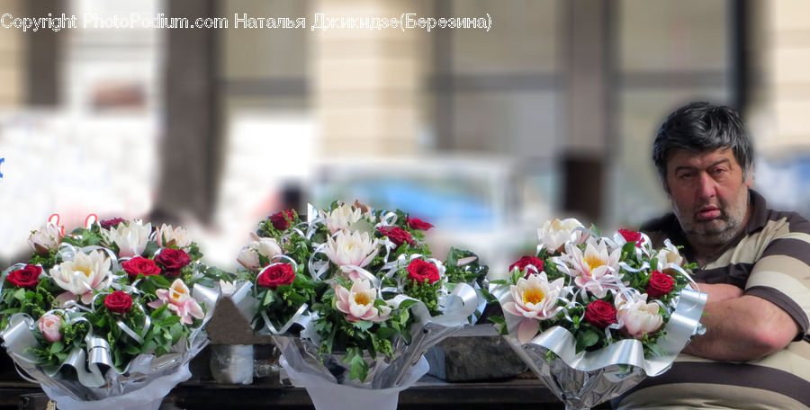 People, Person, Human, Plant, Potted Plant, Flower, Flower Arrangement