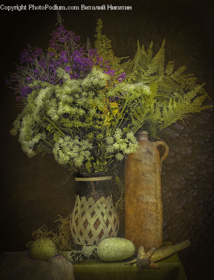 Bonsai, Plant, Potted Plant, Tree, Conifer, Fir, Herbal