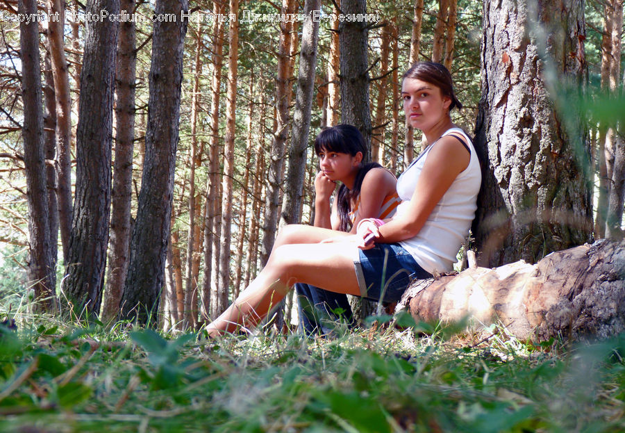 People, Person, Human, Forest, Vegetation, Female, Girl