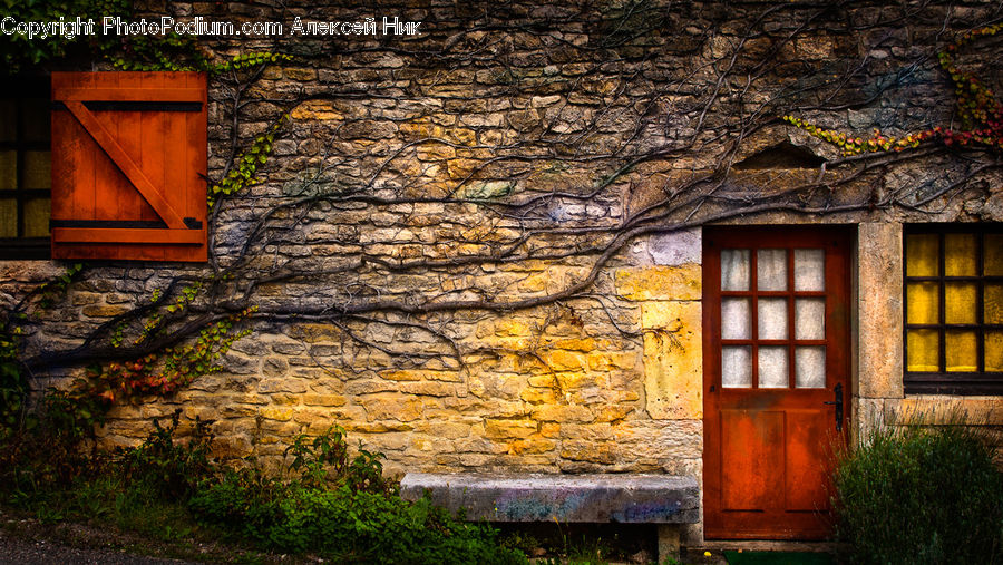 Plant, Potted Plant, Window, Building, Cottage, Housing, Bush