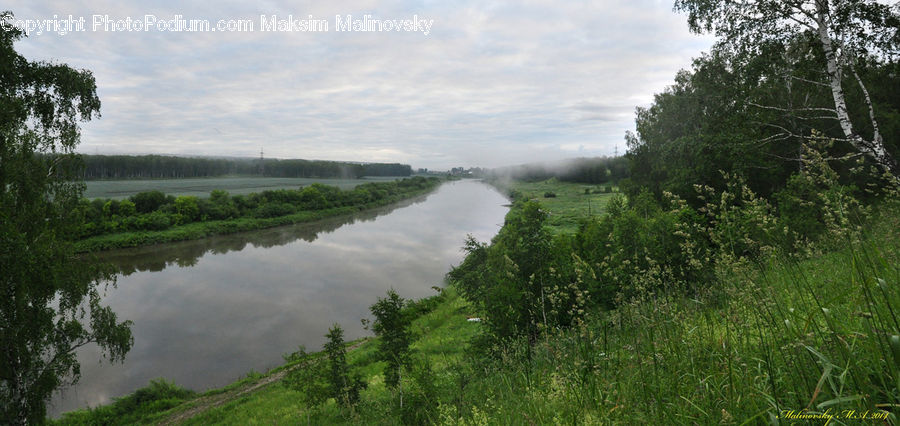 Ditch, Canal, Outdoors, River, Water, Forest, Jungle