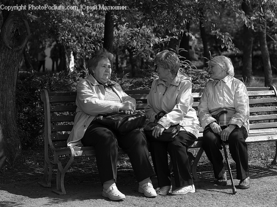 People, Person, Human, Bench, Face, Portrait, Smile