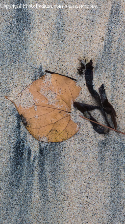 Outdoors, Sand, Soil, Asphalt, Tarmac, Pavement, Ground