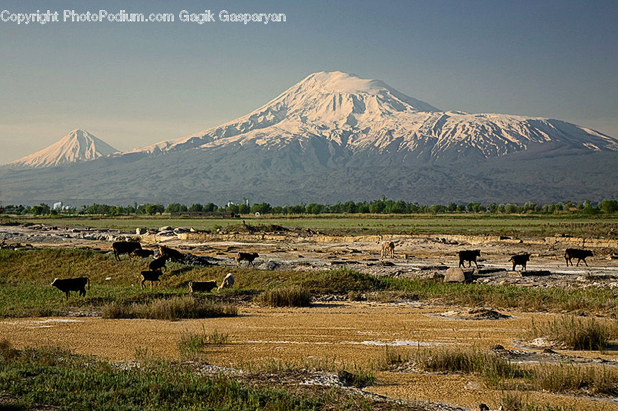 Field, Grass, Grassland, Land, Outdoors, Mountain, Mountain Range