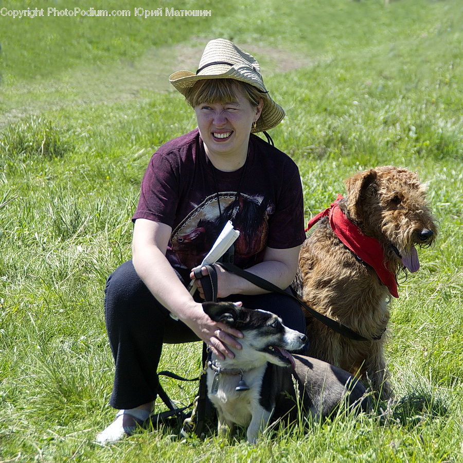 People, Person, Human, Animal, Picnic, Adorable, Field