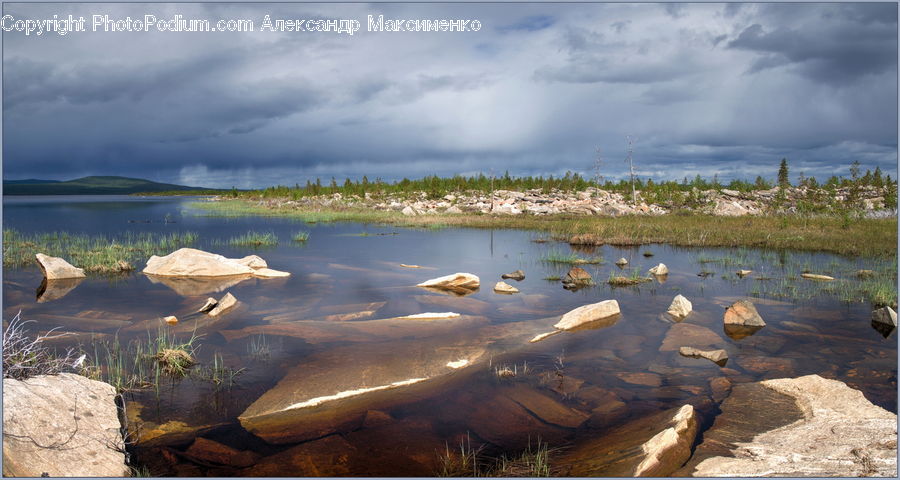 Outdoors, Pond, Water, Basin, Land, Marsh, Swamp