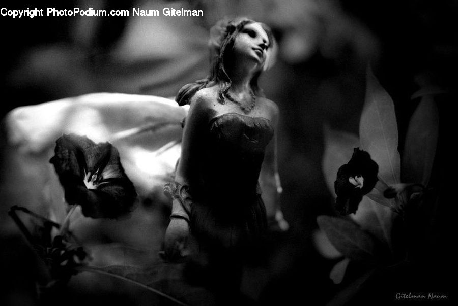 People, Person, Human, Dance, Dance Pose, Flamenco, Music