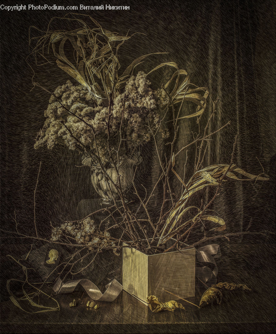 Tomb, Tombstone, Forest, Jungle, Vegetation, Blossom, Flora