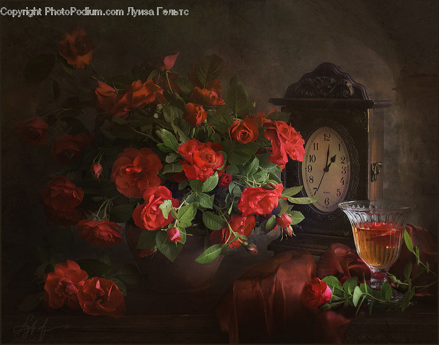 Blossom, Flower, Plant, Rose, Potted Plant, Floral Design, Flower Arrangement