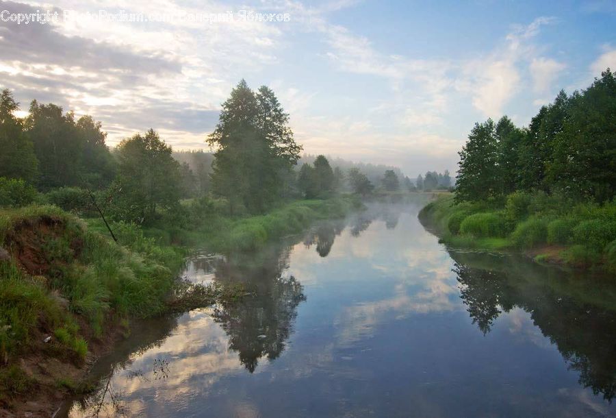 Canal, Outdoors, River, Water, Pond, Land, Marsh