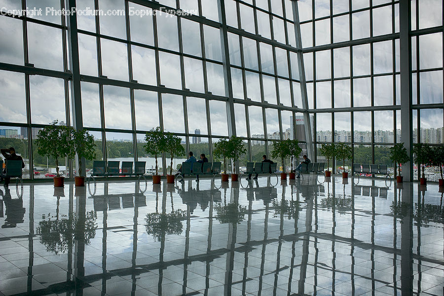 Airport Terminal, Terminal, Plant, Potted Plant, Architecture, Convention Center, Building