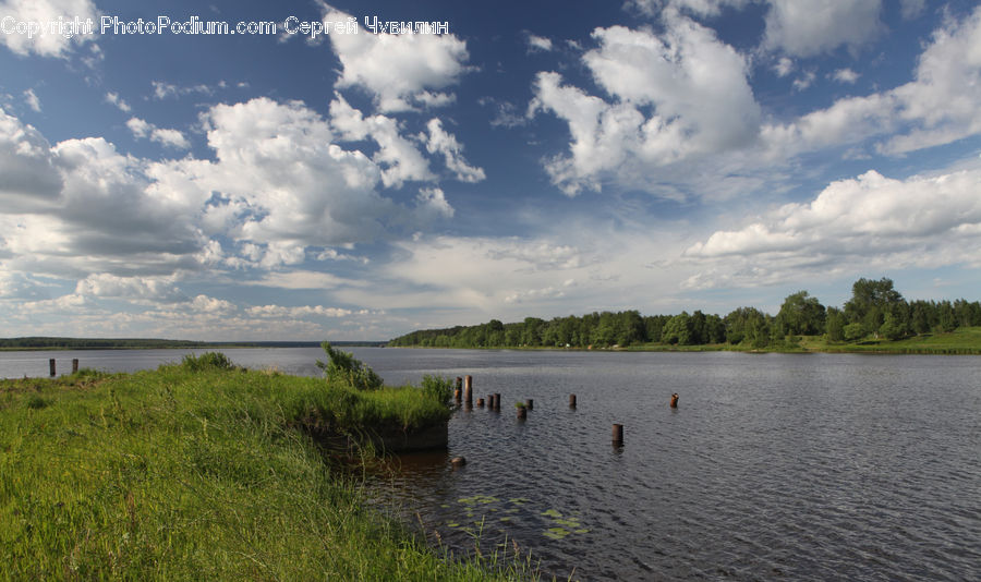 Cloud, Cumulus, Sky, Land, Marsh, Outdoors, Swamp