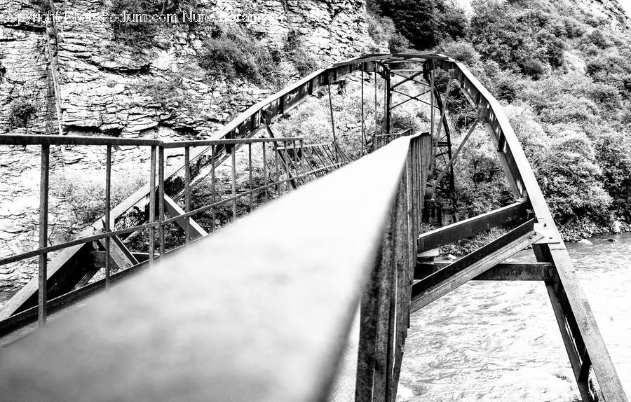 Bridge, Path, Trail, Forest, Vegetation, Outdoors