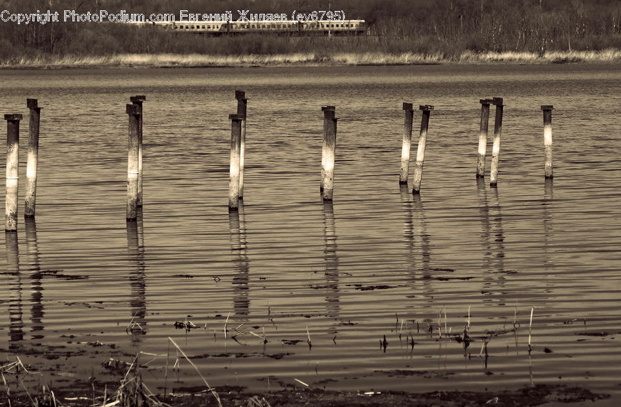 Outdoors, Sand, Soil, Land, Marsh, Swamp, Water