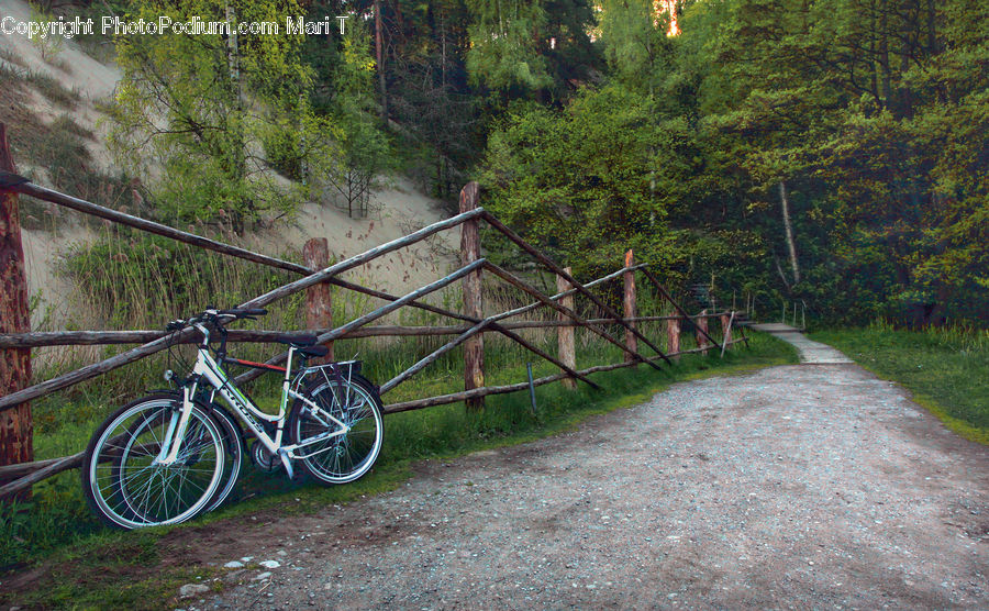 Bicycle, Bike, Vehicle, Mountain Bike, Path, Road, Walkway