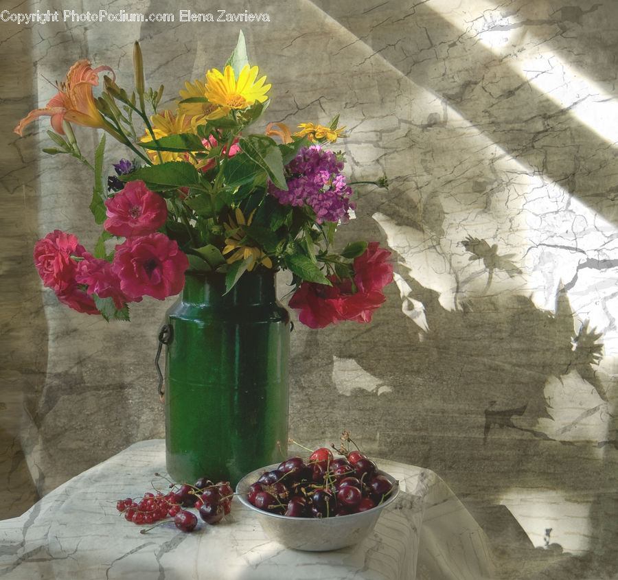 Plant, Potted Plant, Floral Design, Flower, Flower Arrangement, Flower Bouquet, Ikebana
