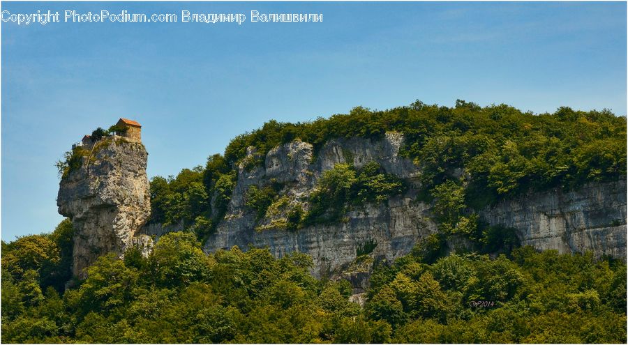 Architecture, Castle, Fort, Ruins, Plant, Vegetation, Countryside