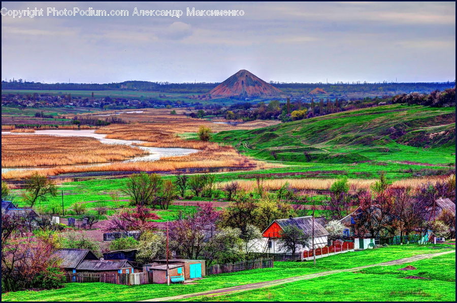 Field, Grass, Grassland, Land, Outdoors, Countryside, Garden
