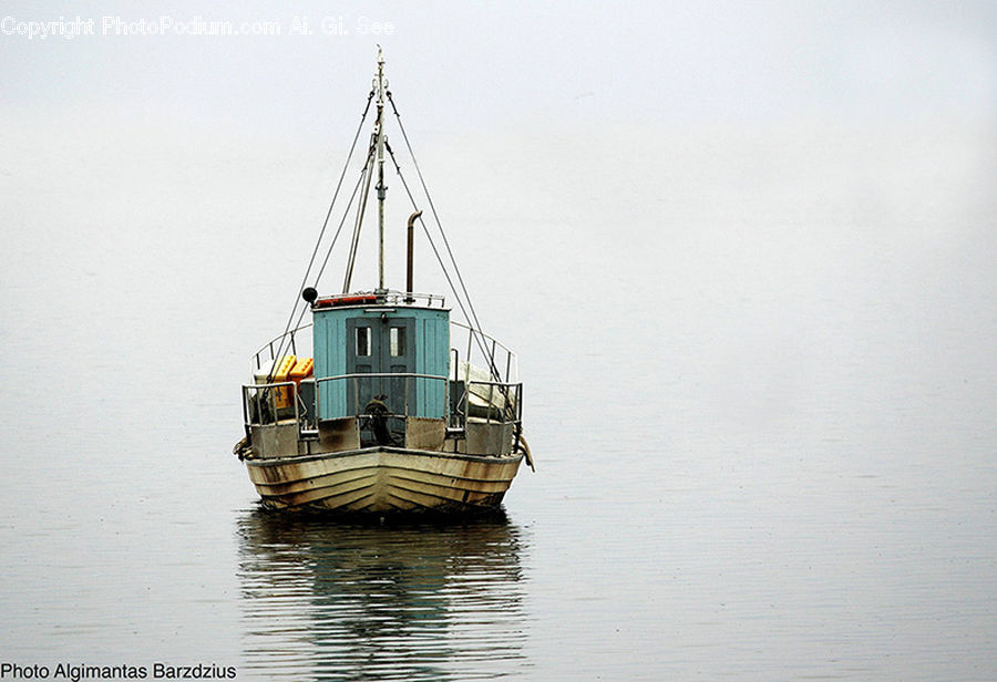 Boat, Watercraft, Barge, Tugboat, Cruise Ship, Ferry, Freighter
