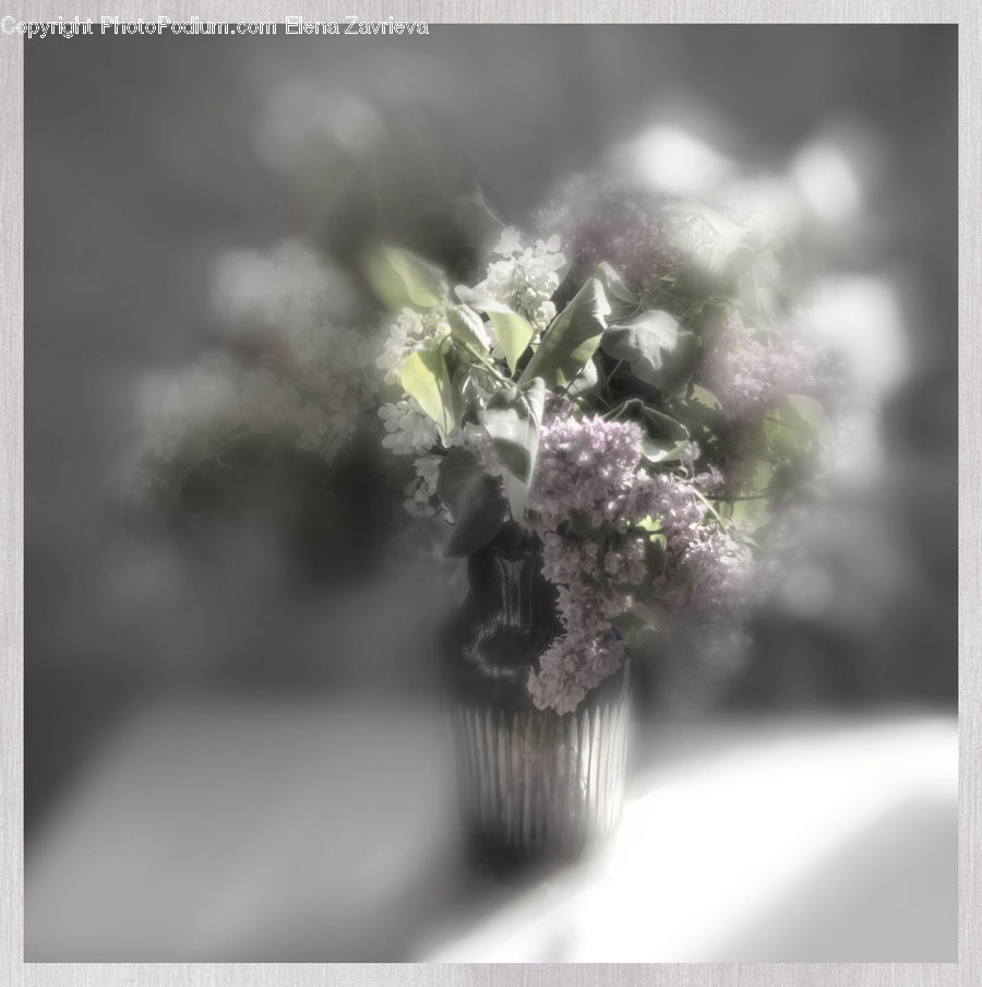 Jar, Porcelain, Vase, Blossom, Flora, Flower, Plant