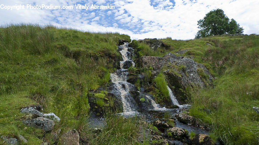 Creek, Outdoors, Stream, Water, Plant, Potted Plant, Field