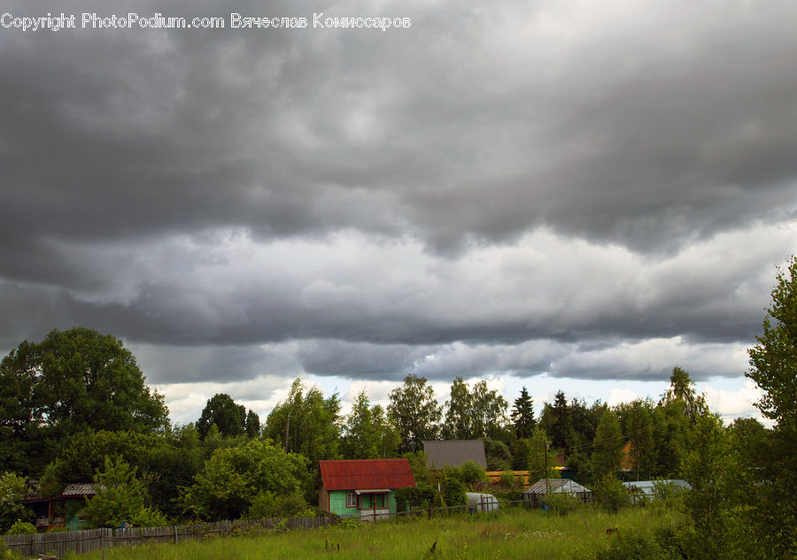 Cloud, Cumulus, Sky, Outdoors, Storm, Weather, Azure Sky