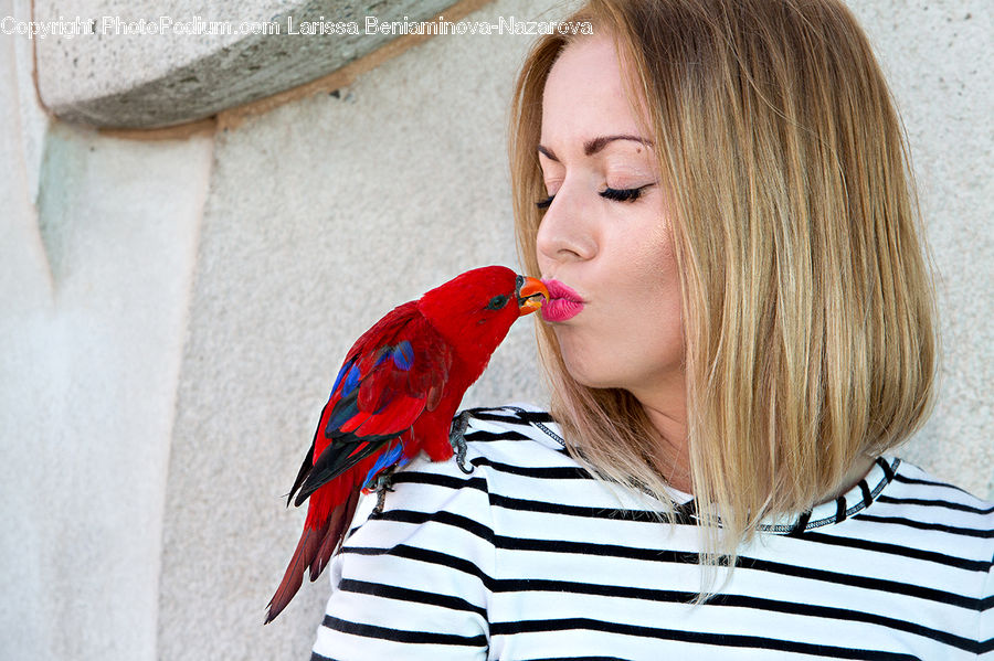 People, Person, Human, Beak, Bird, Face