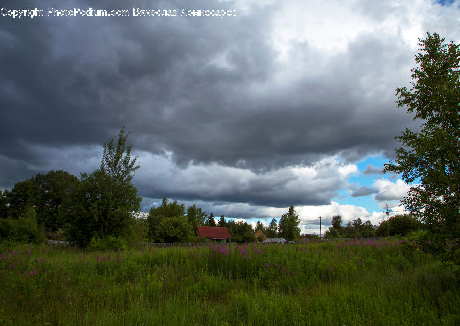 Field, Grass, Grassland, Land, Outdoors, Storm, Weather