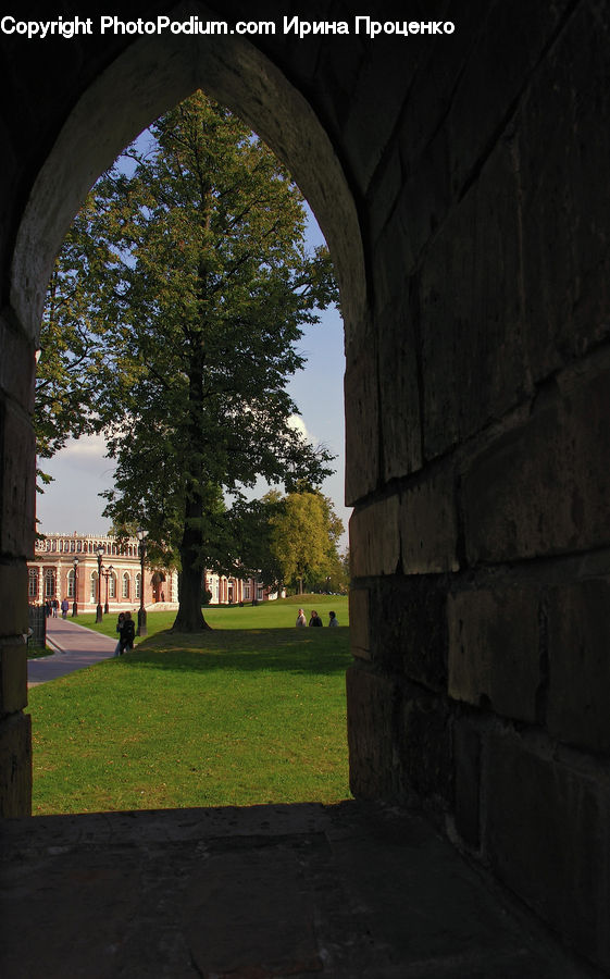 Arch, Campus, Lumber, Box, Crate, Crypt, Dungeon