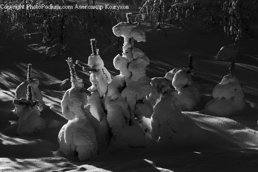 Ice, Snow, Snowman, Winter, Outdoors, Bird, Dove