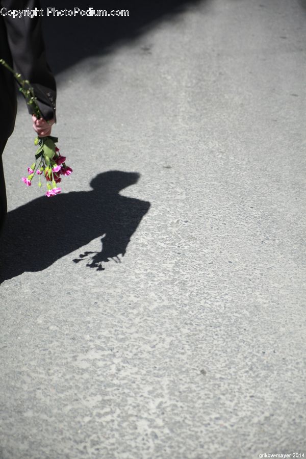 Asphalt, Tarmac, Pavement, Flower, Flower Arrangement, Flower Bouquet, Clothing