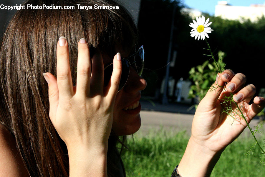 People, Person, Human, Blossom, Flora, Flower, Plant