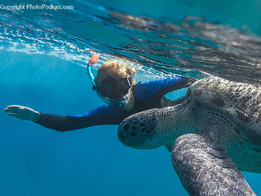 Diver, Diving, Sport, Water, Underwater, Swimming, Snorkeling